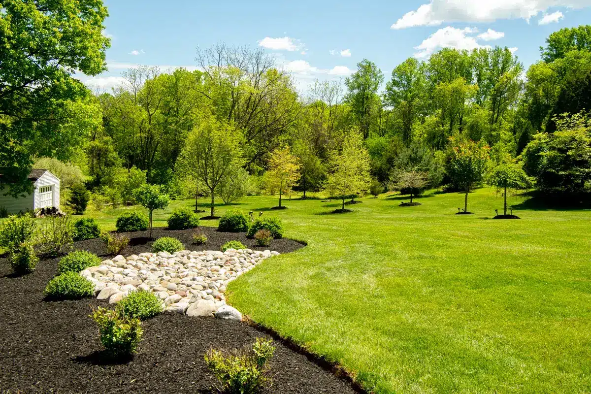 Trees In Landscape How to Select Trees for Your Garden and Landscape Design - Bountiful Acres