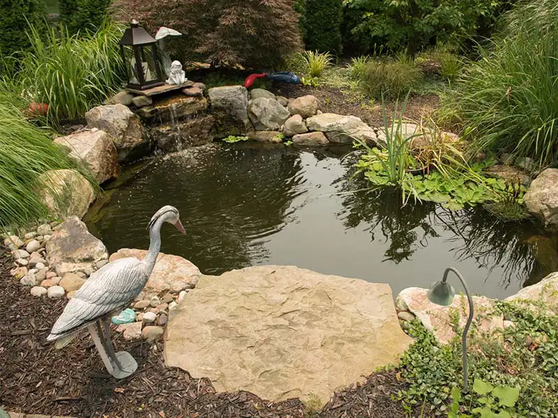 Landscape Design & Build Services at Bountiful Acres.