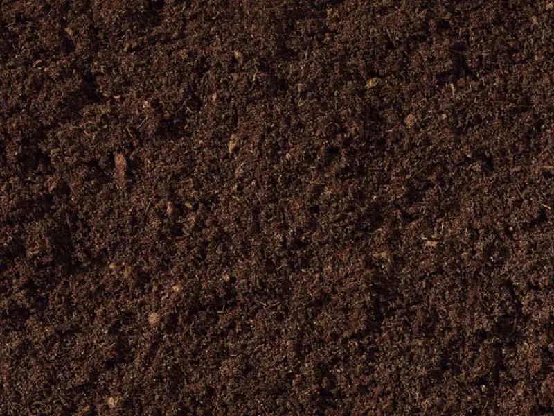 Nutri-peat in bulk at Bountiful Acres