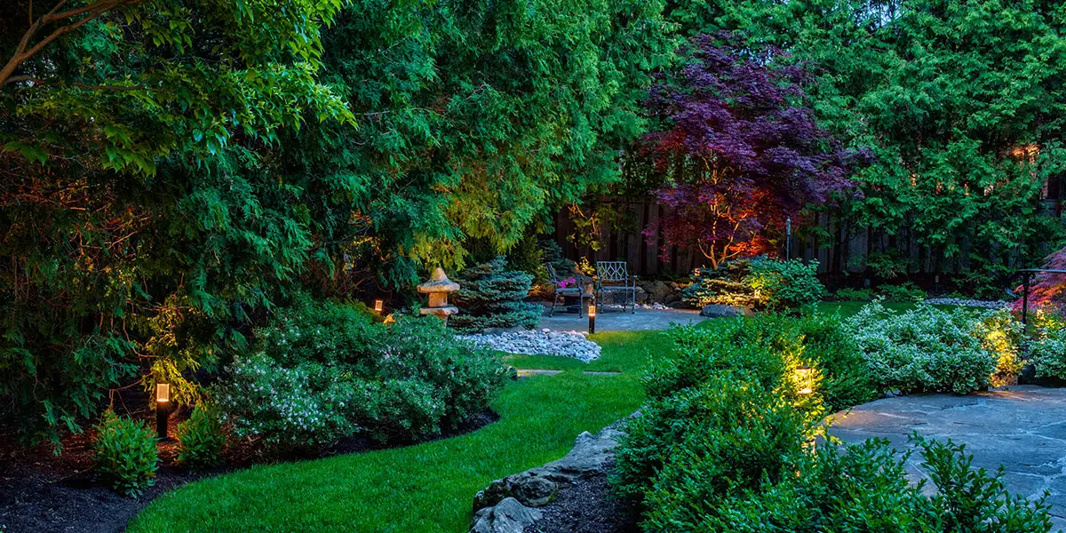 enjoy your June garden!