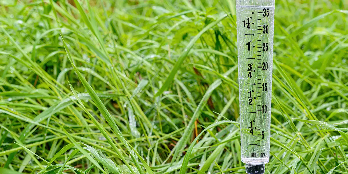 rain gauge in the garden
