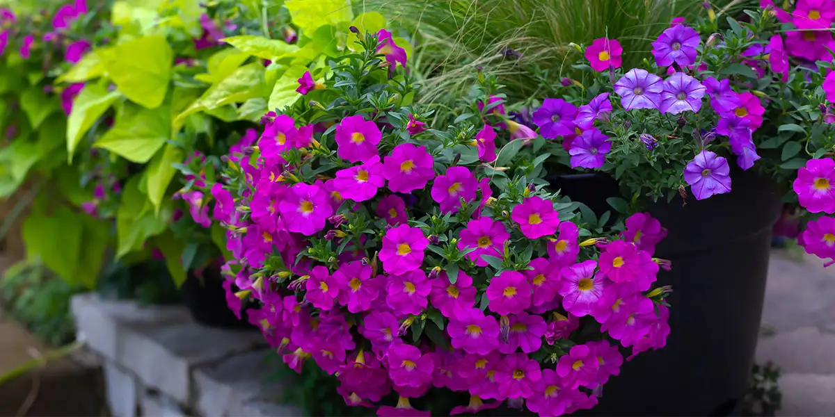 May To-Do List-add color to containers