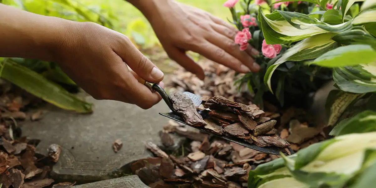 May To-Do List-refresh mulch