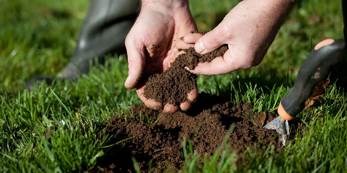 May To-Do List-test your soil before adding fertilizer
