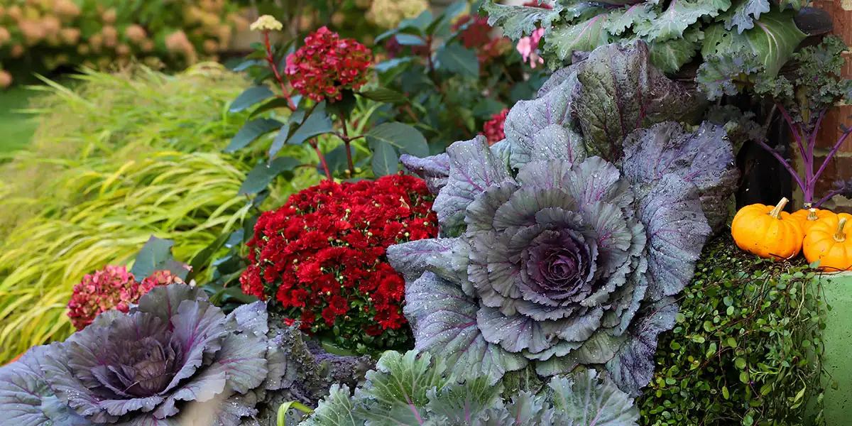 September Yard and Garden-give containers a fall refresh