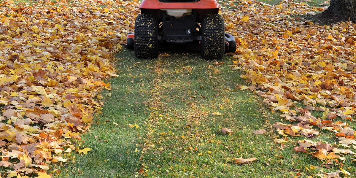 October Yard & Garden-Get Fallen Leaves Off the Lawn, But Keep Them Working for You (mulch them and they can help your lawn and garden!)