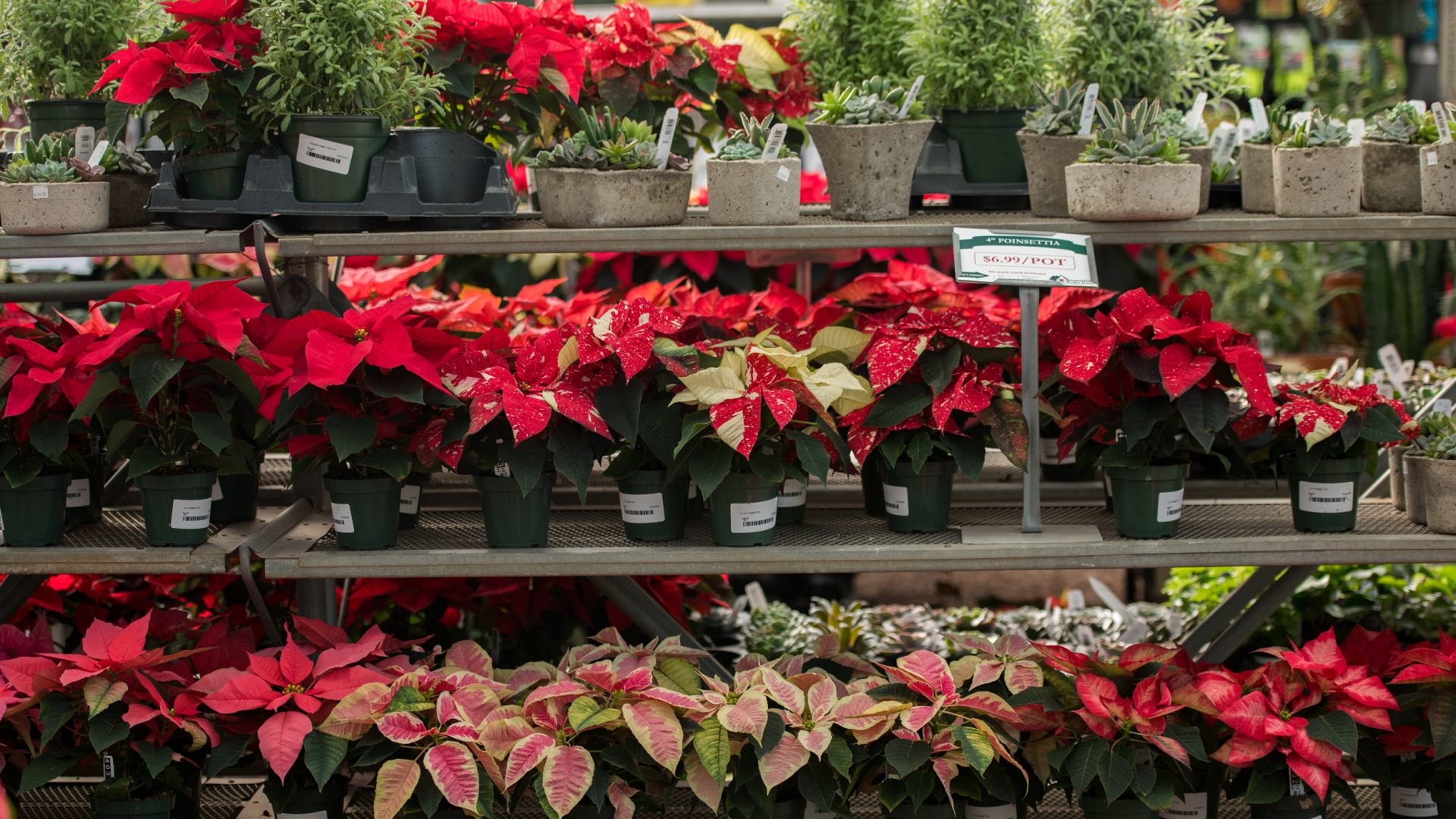 201207_BountifulAcres_Winter_053