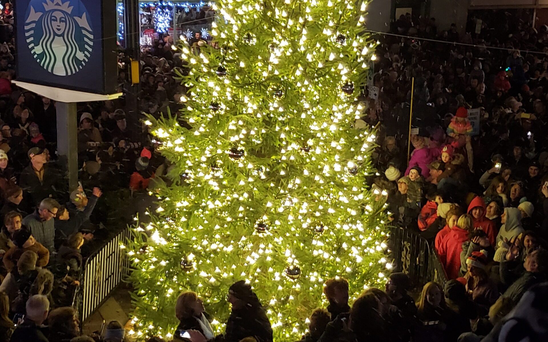 2019 Tree Lit