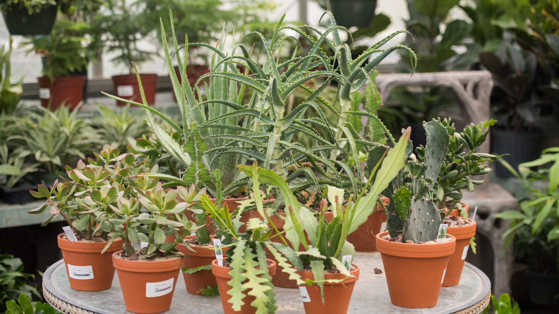 210720_BountifulAcres_162