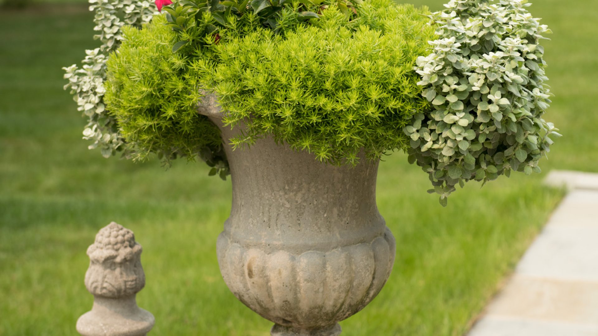 210720_BountifulAcres_198