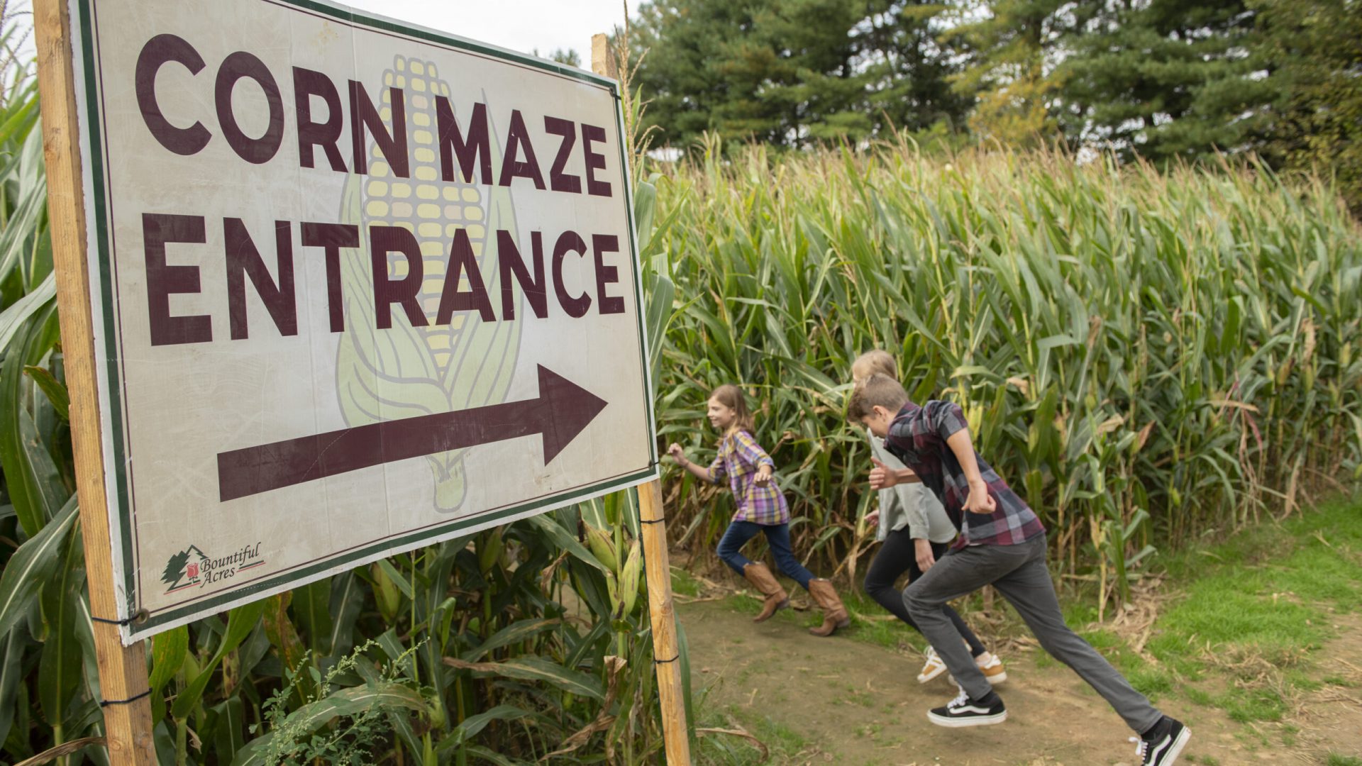 corn maze bucks county
