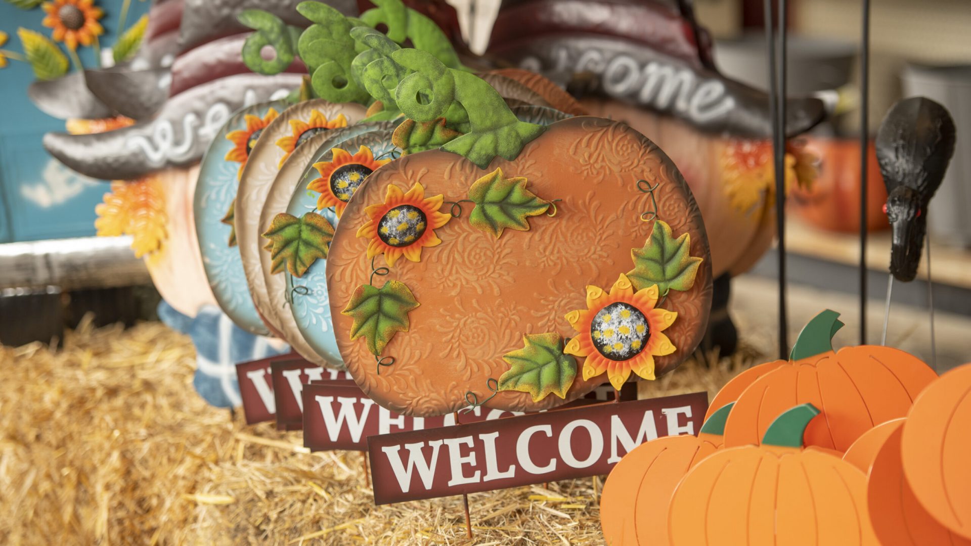 211009_BountifulAcres_210