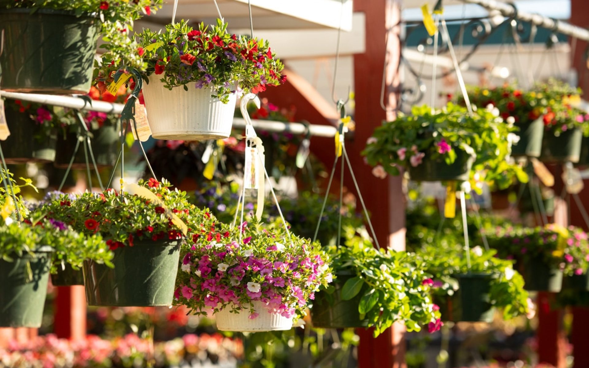 211205_BountifulAcres_Spring_005