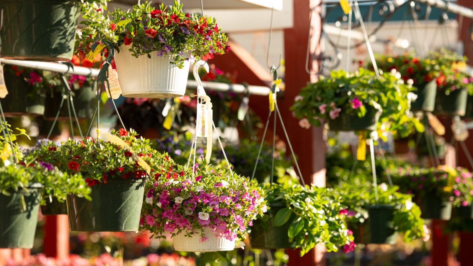 211205_BountifulAcres_Spring_005