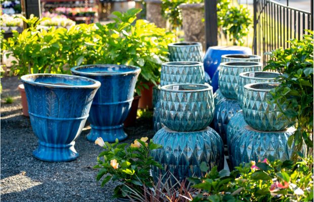 211205_BountifulAcres_Spring_010