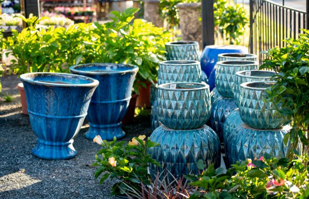 211205_BountifulAcres_Spring_010