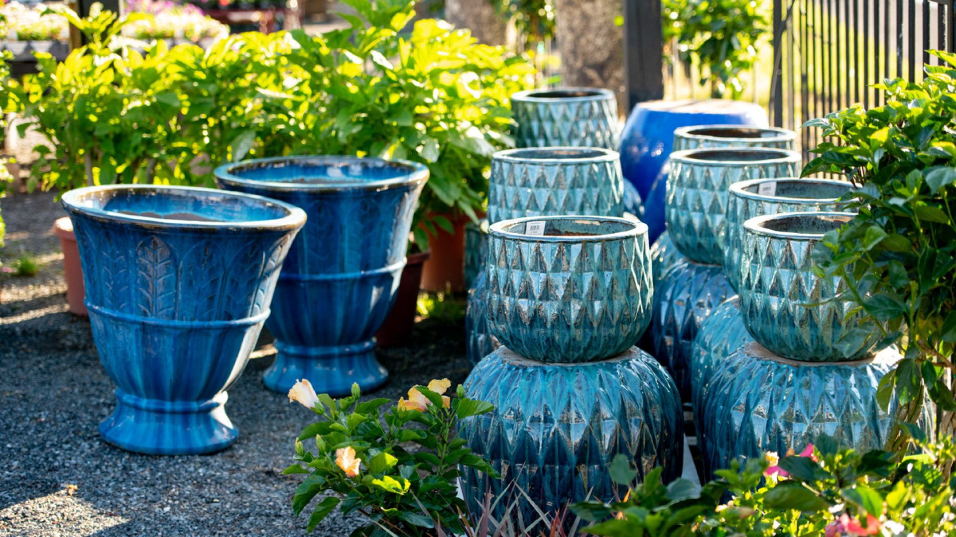 211205_BountifulAcres_Spring_010