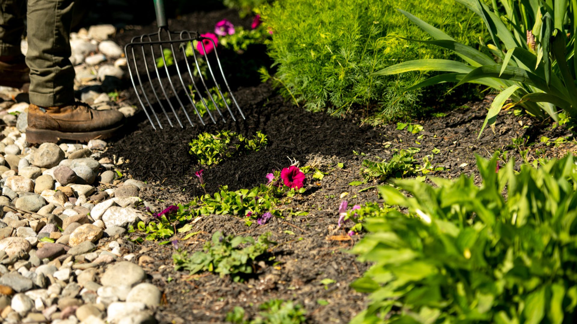 211205_BountifulAcres_Spring_089