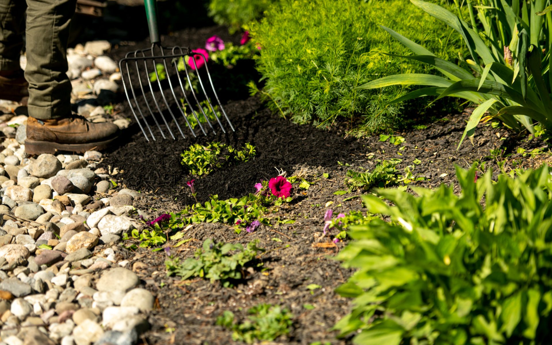 211205_BountifulAcres_Spring_089