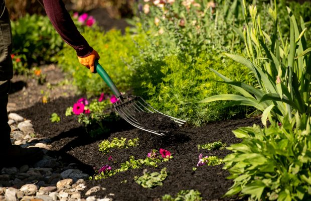 211205_BountifulAcres_Spring_091