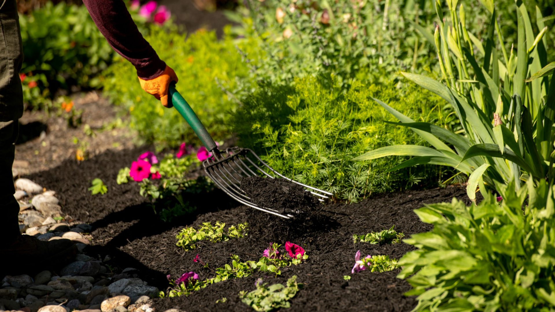 211205_BountifulAcres_Spring_091