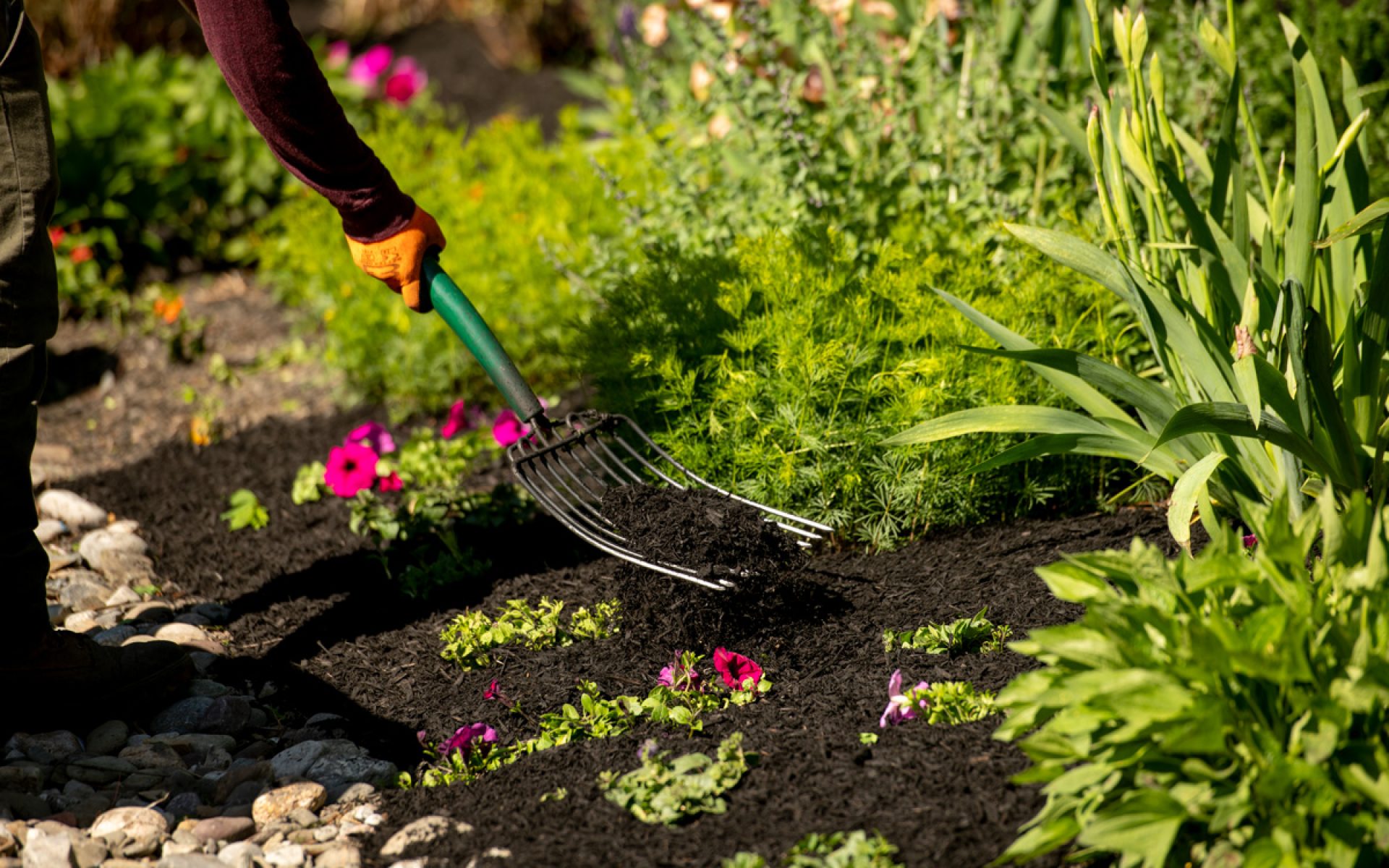 211205_BountifulAcres_Spring_091