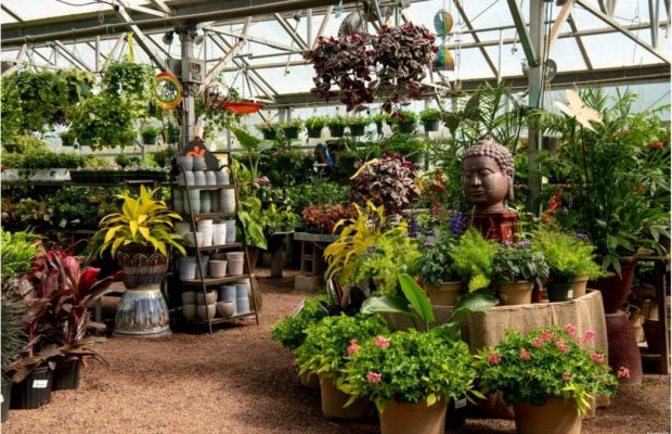 211205_BountifulAcres_Spring_092-1024x683