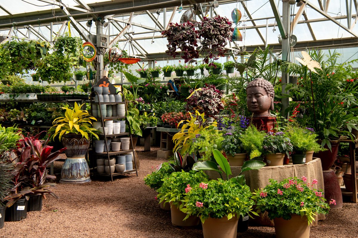 211205_BountifulAcres_Spring_092