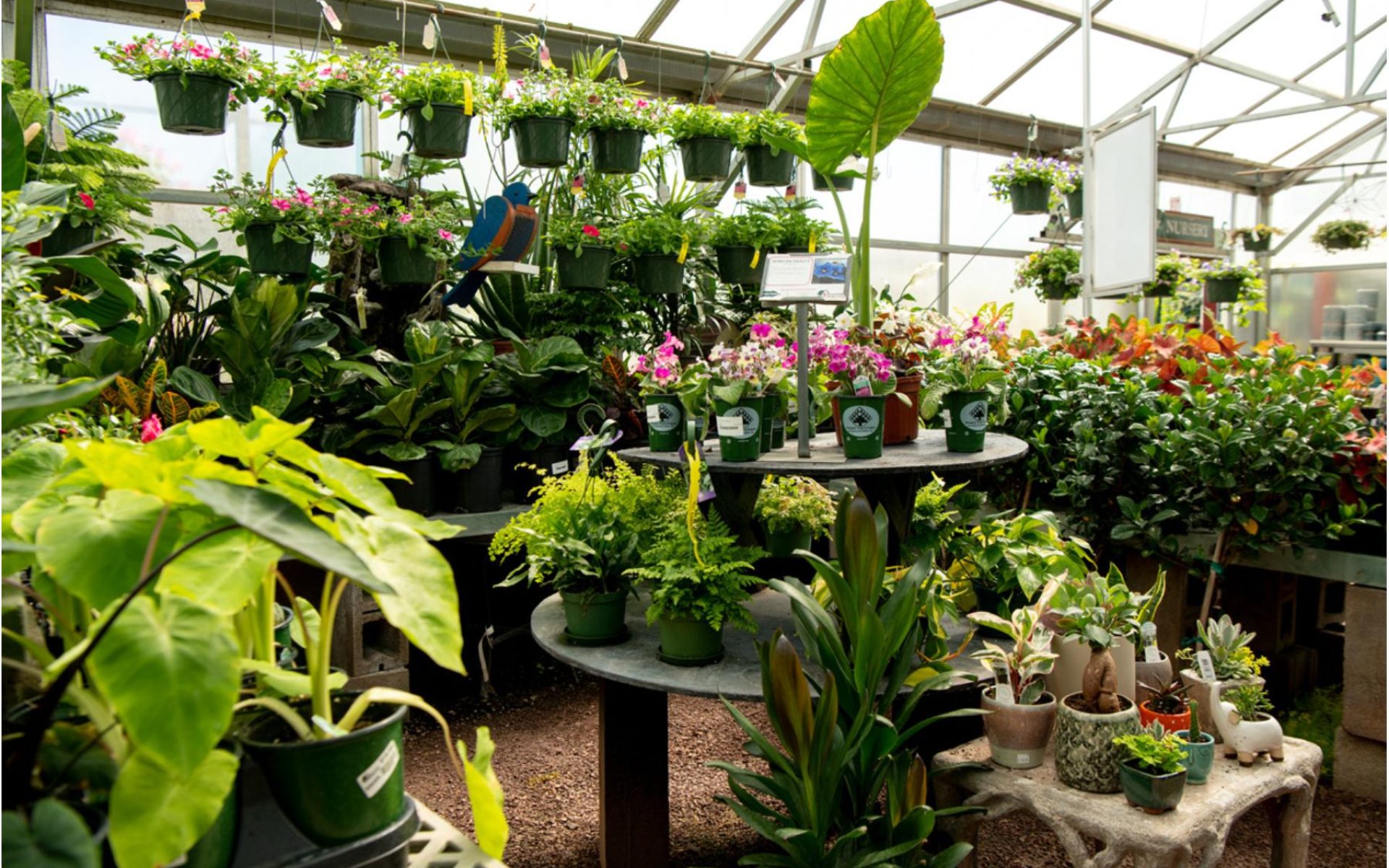 211205_BountifulAcres_Spring_095
