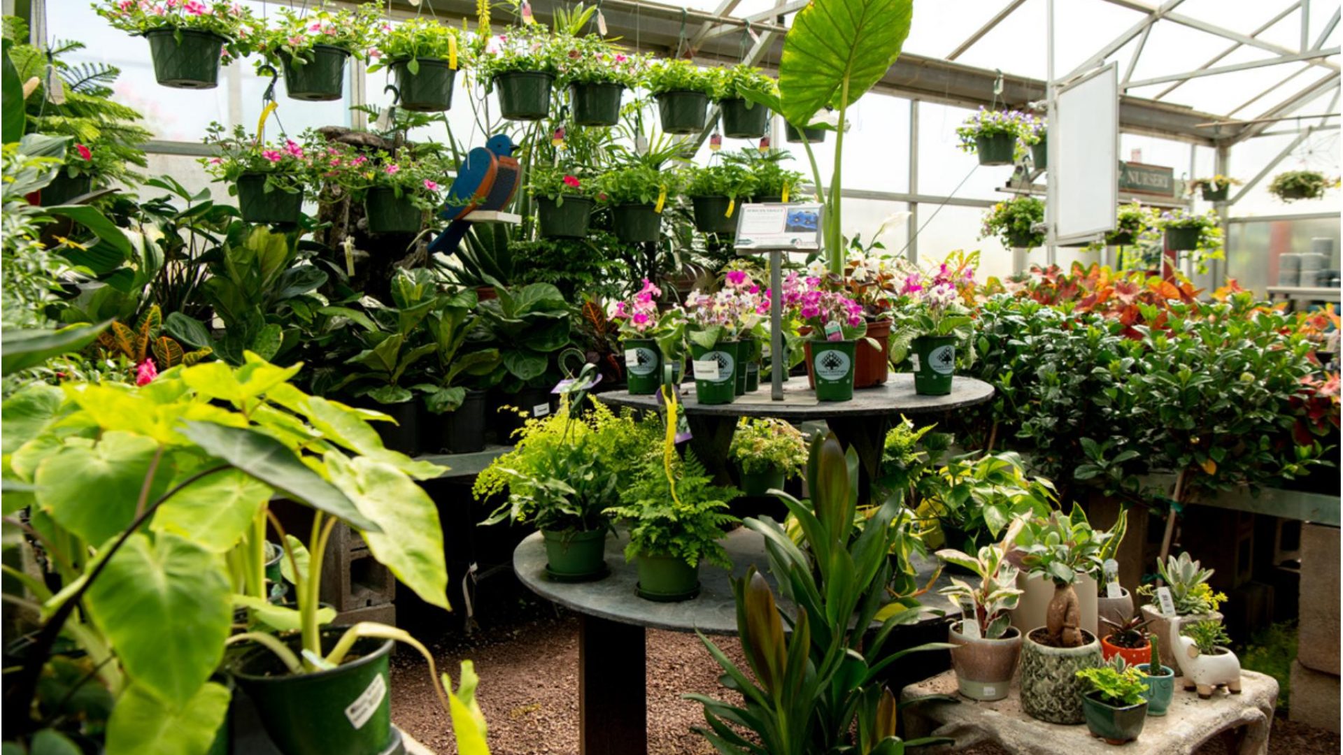 211205_BountifulAcres_Spring_095