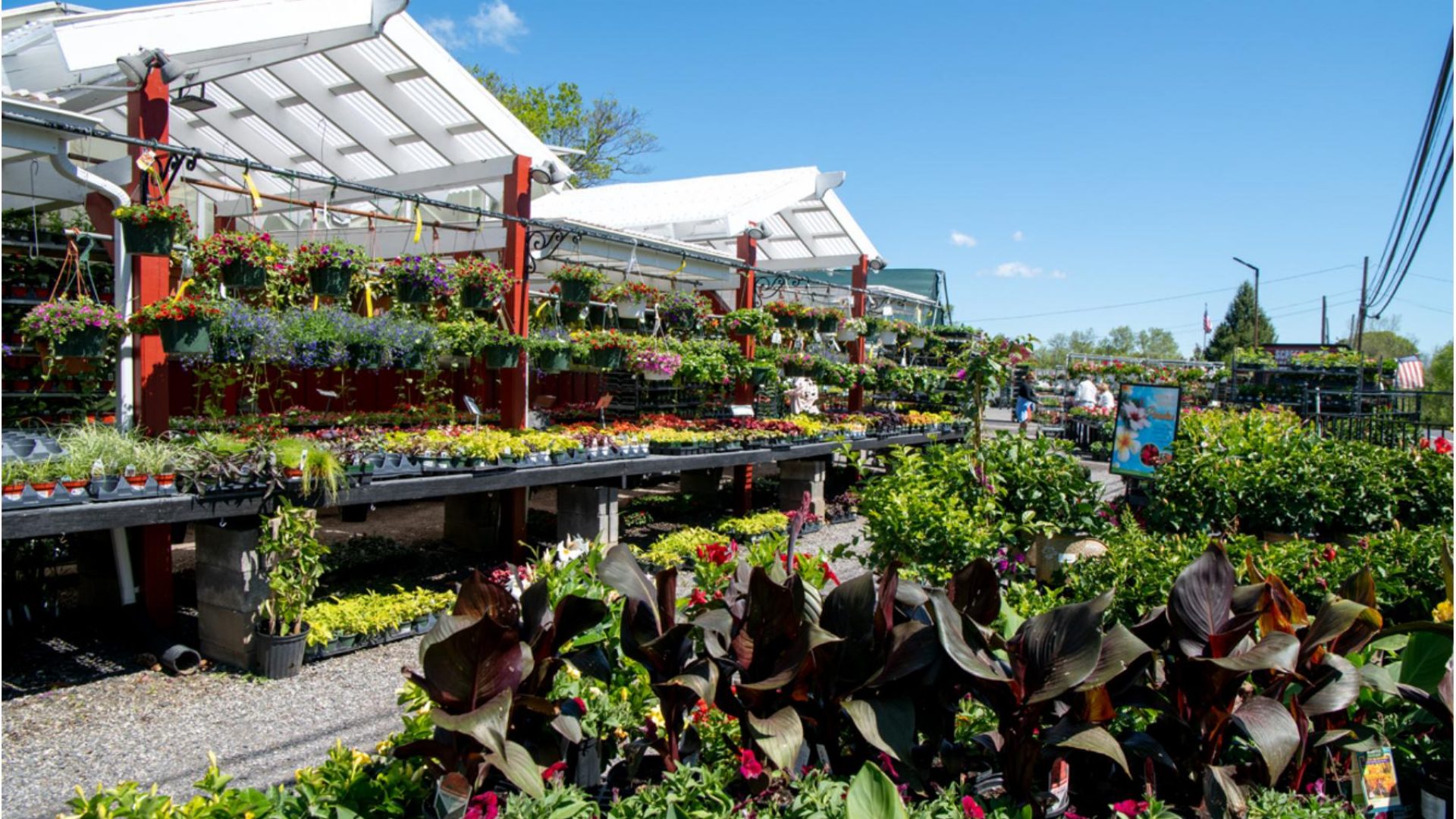 211205_BountifulAcres_Spring_109