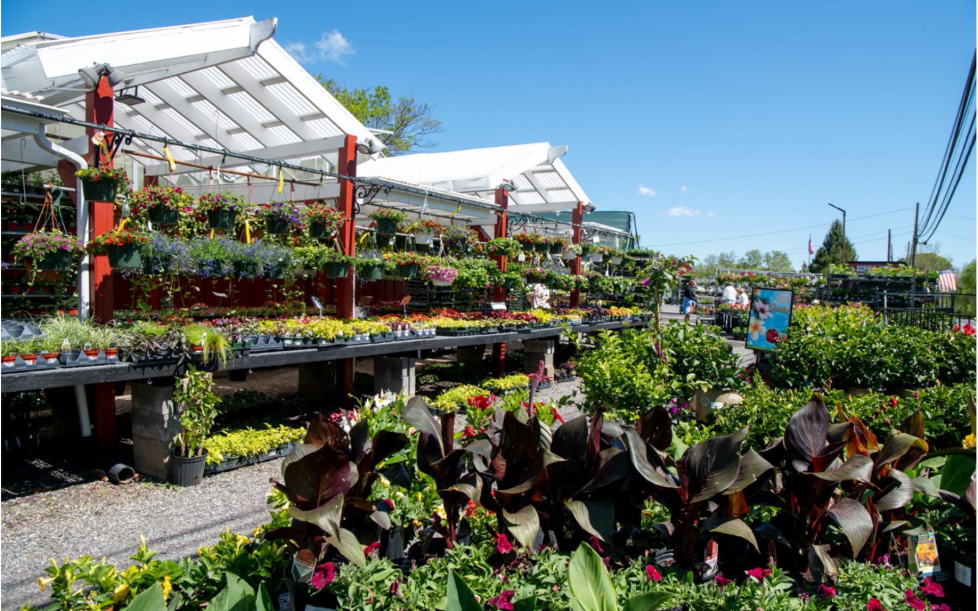 211205_BountifulAcres_Spring_109