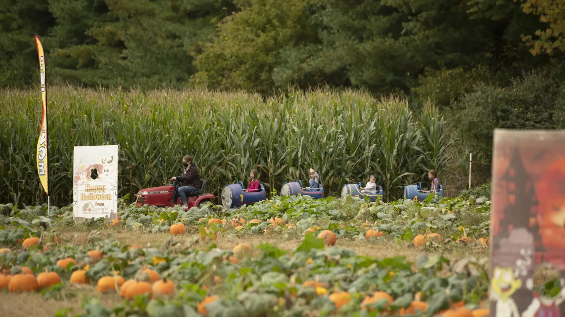 pumpkin patch bucks county