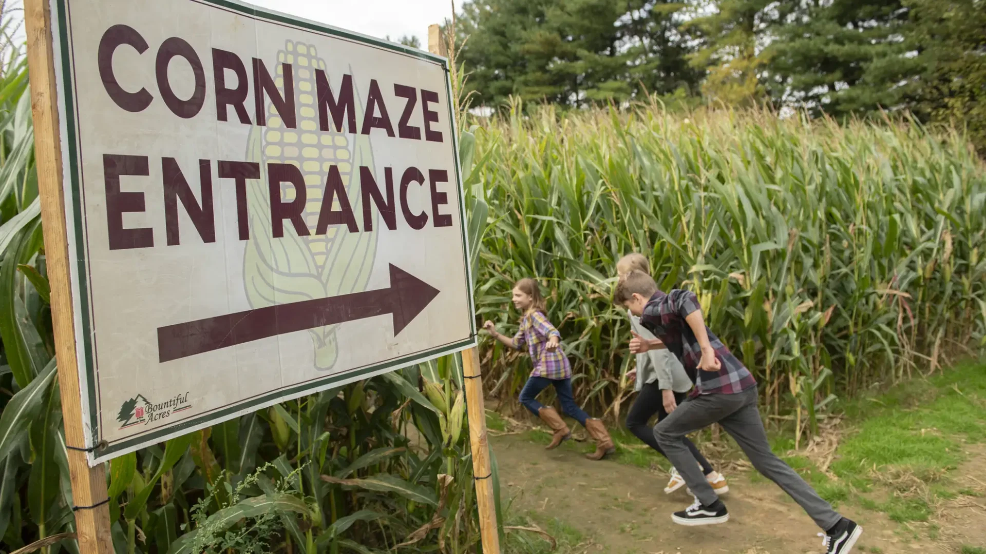 corn maze bucks county