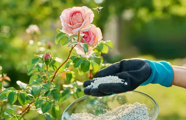 Fertilizer 101-feature