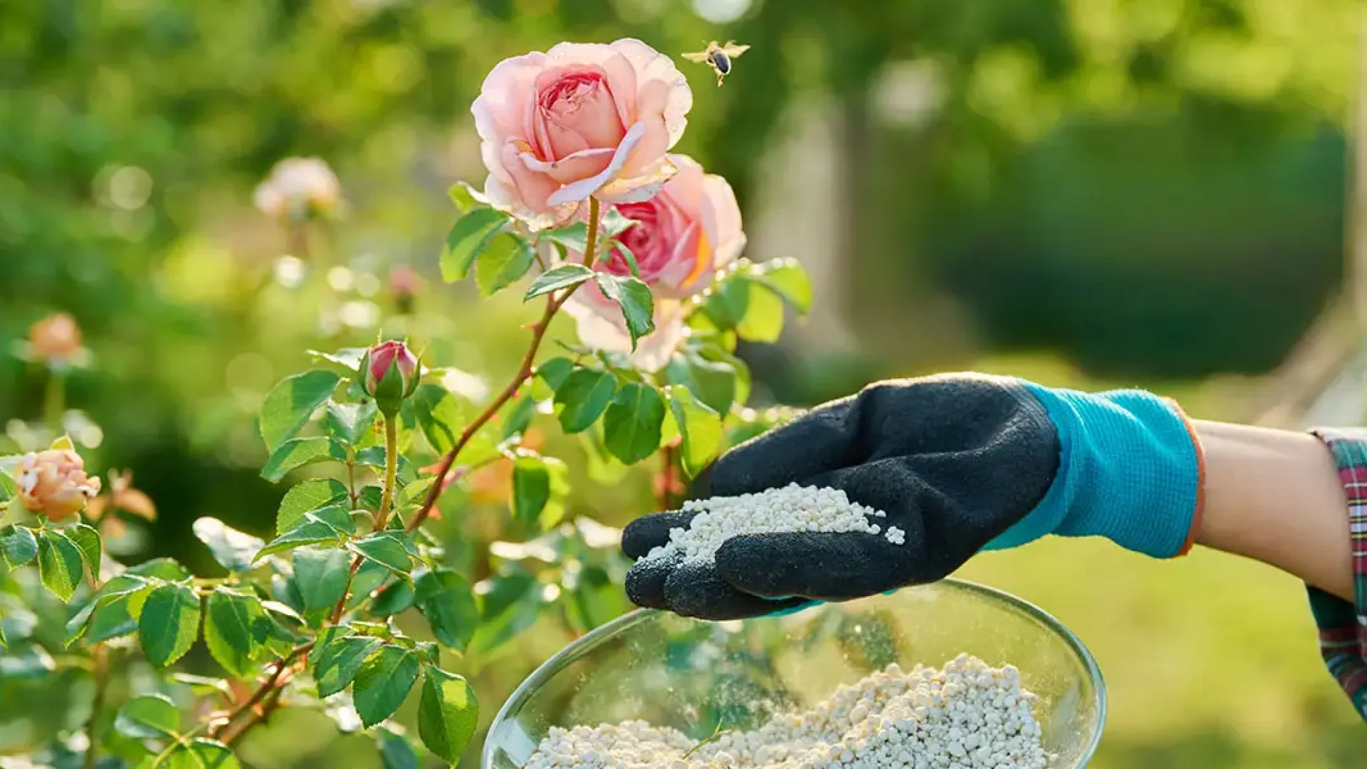 Fertilizer 101-feature