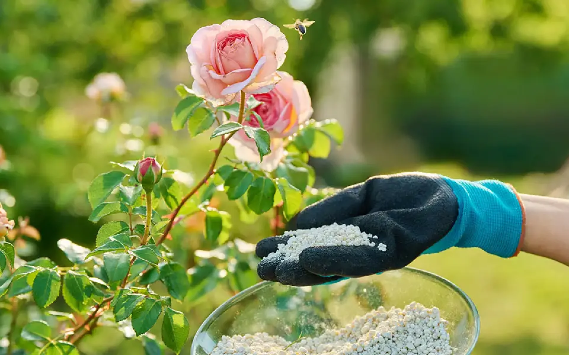 Fertilizer 101-feature