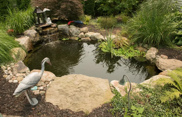 Landscape-Design-Project-Pond-Garden-Shrubs-Hardscape-Grasses-Stone
