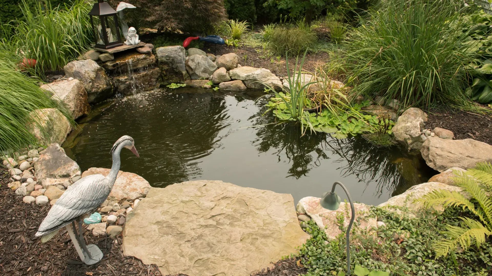 Landscape-Design-Project-Pond-Garden-Shrubs-Hardscape-Grasses-Stone