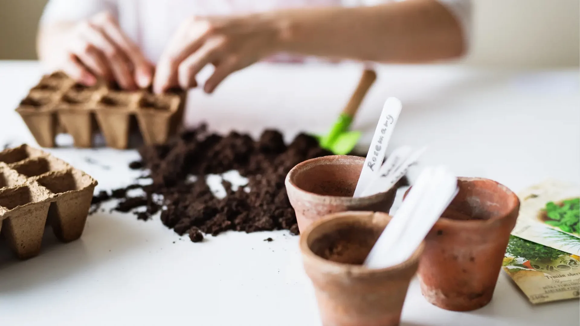 Planting-Preparation-Potted-Seedlings