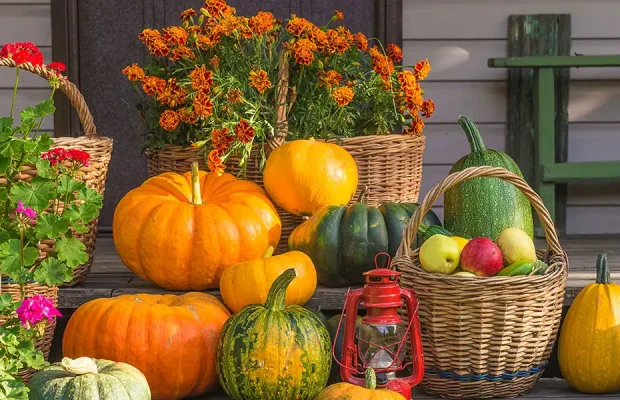 Pumpkins to Pines-featured image