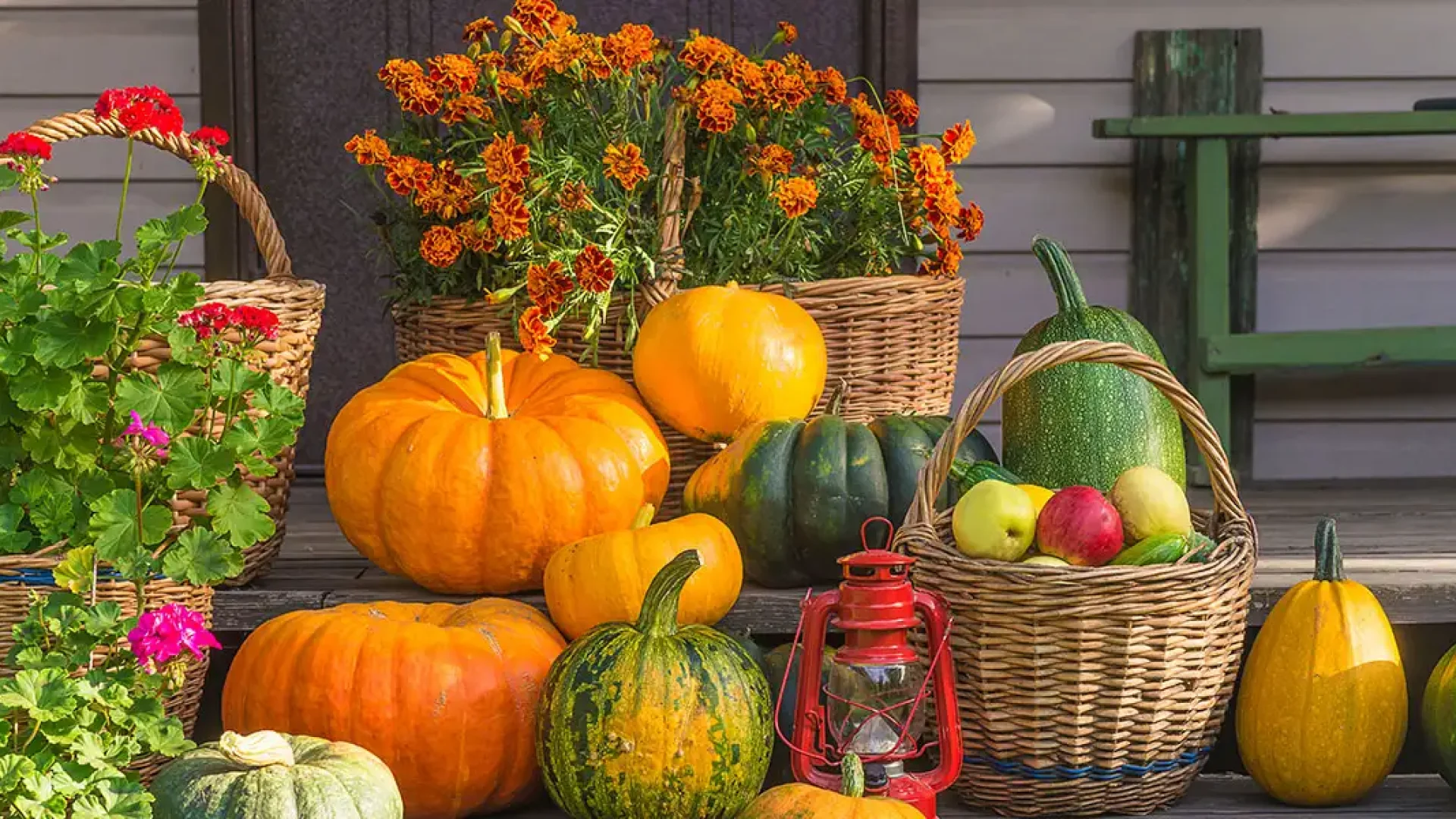 Pumpkins to Pines-featured image