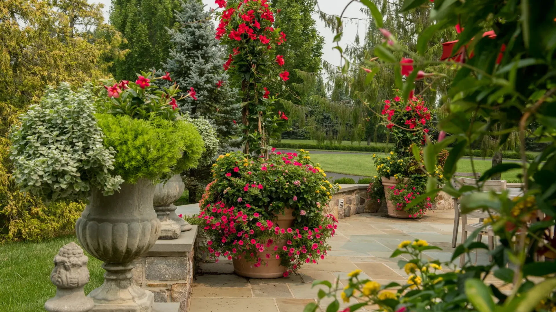 Summer-Planted-Containers-Hardscaping-Landscape-Mandevilla-Shot-2