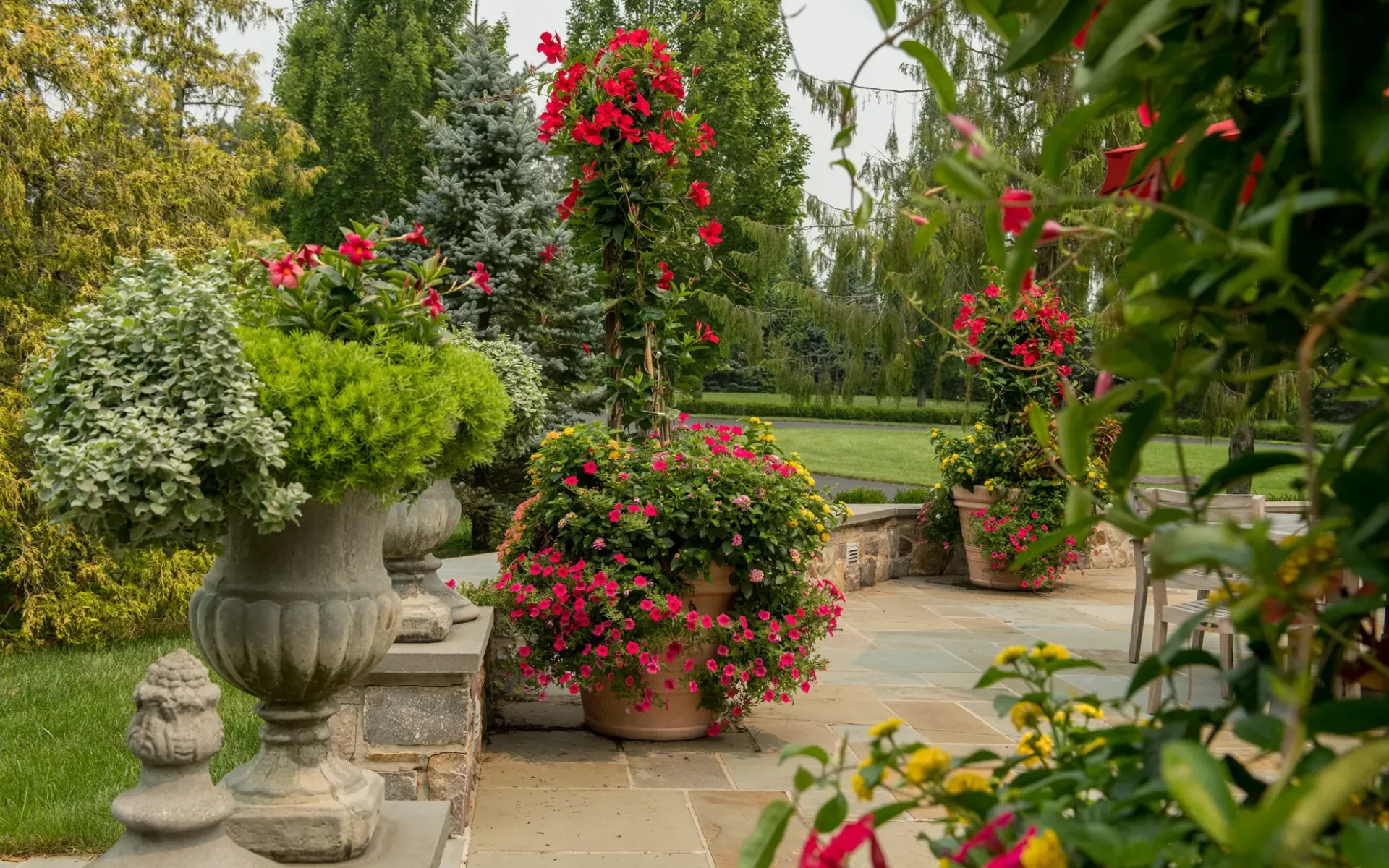 Summer-Planted-Containers-Hardscaping-Landscape-Mandevilla-Shot-2
