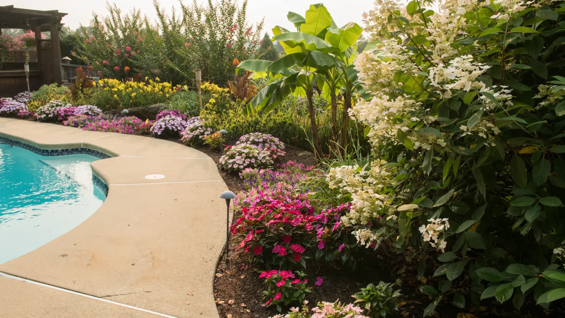 Summer-Pool-Plantings-Pool-Surround-Beds-Shot-2