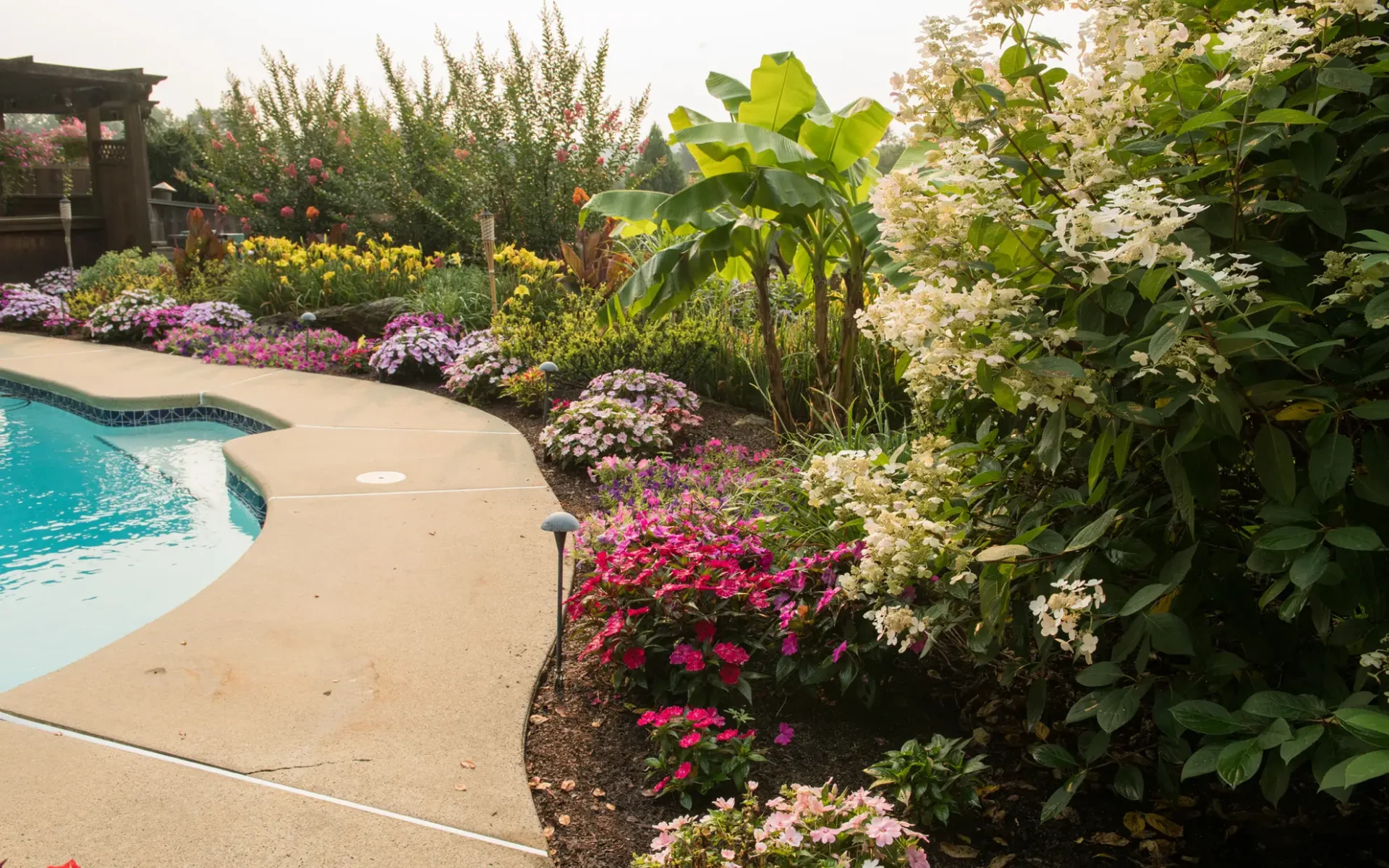 Summer-Pool-Plantings-Pool-Surround-Beds-Shot-2