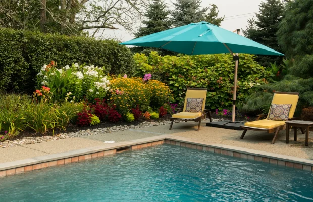 Summer-Pool-Side-Garden-Daylilies-Rudbeckia