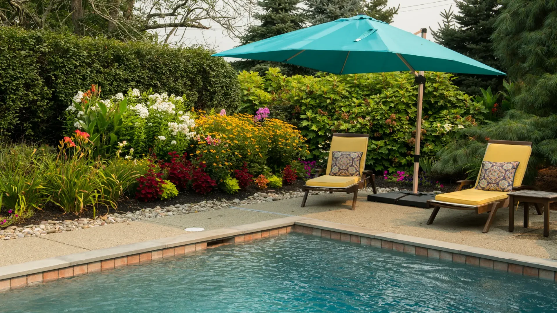 Summer-Pool-Side-Garden-Daylilies-Rudbeckia