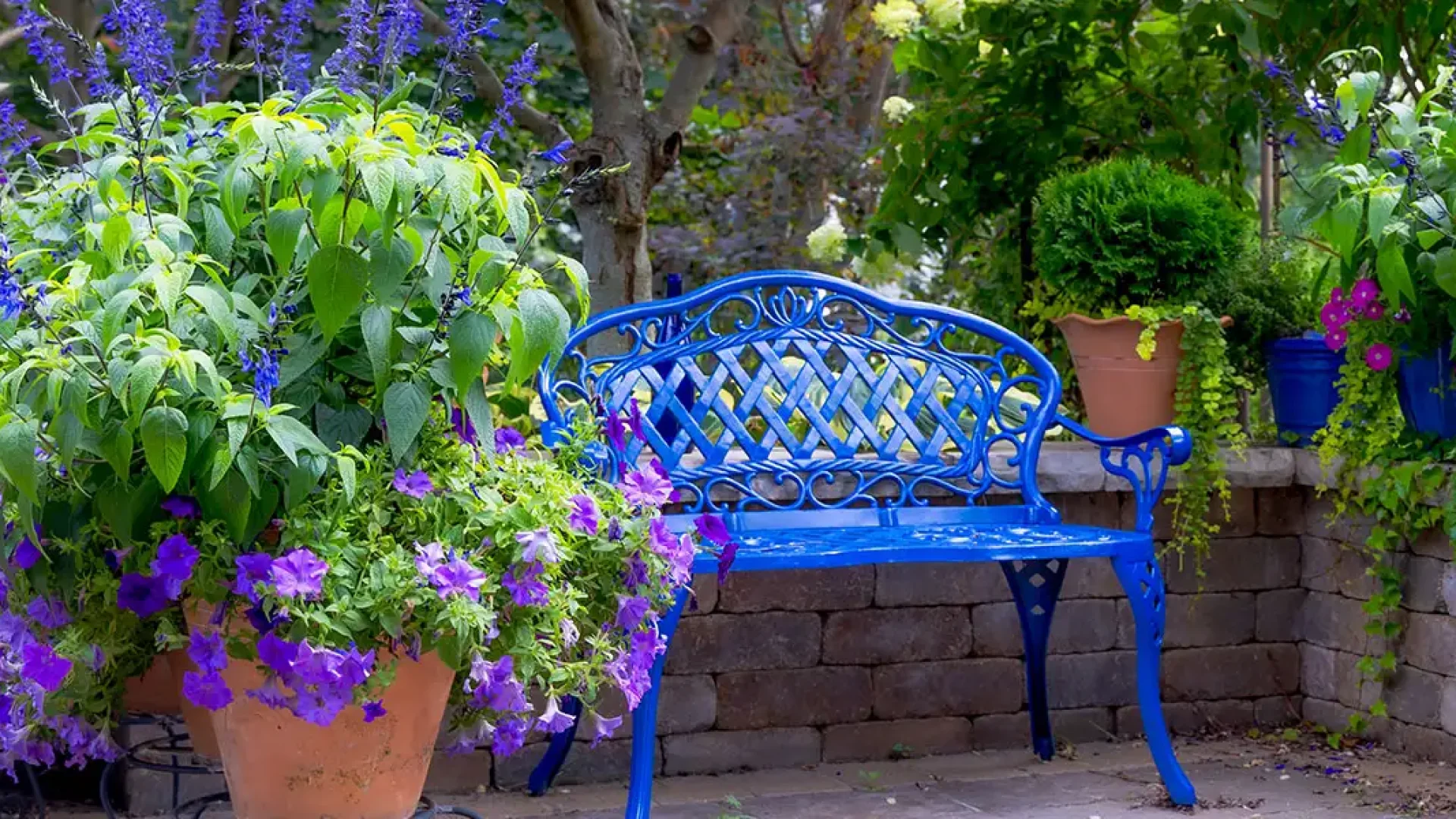 Three Different Types of Gardens-featured image