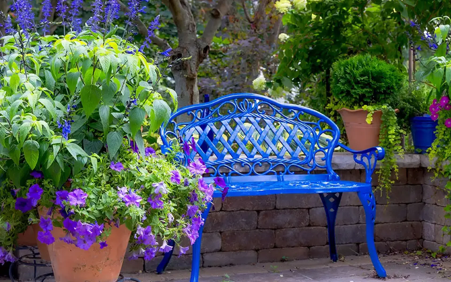 Three Different Types of Gardens-featured image